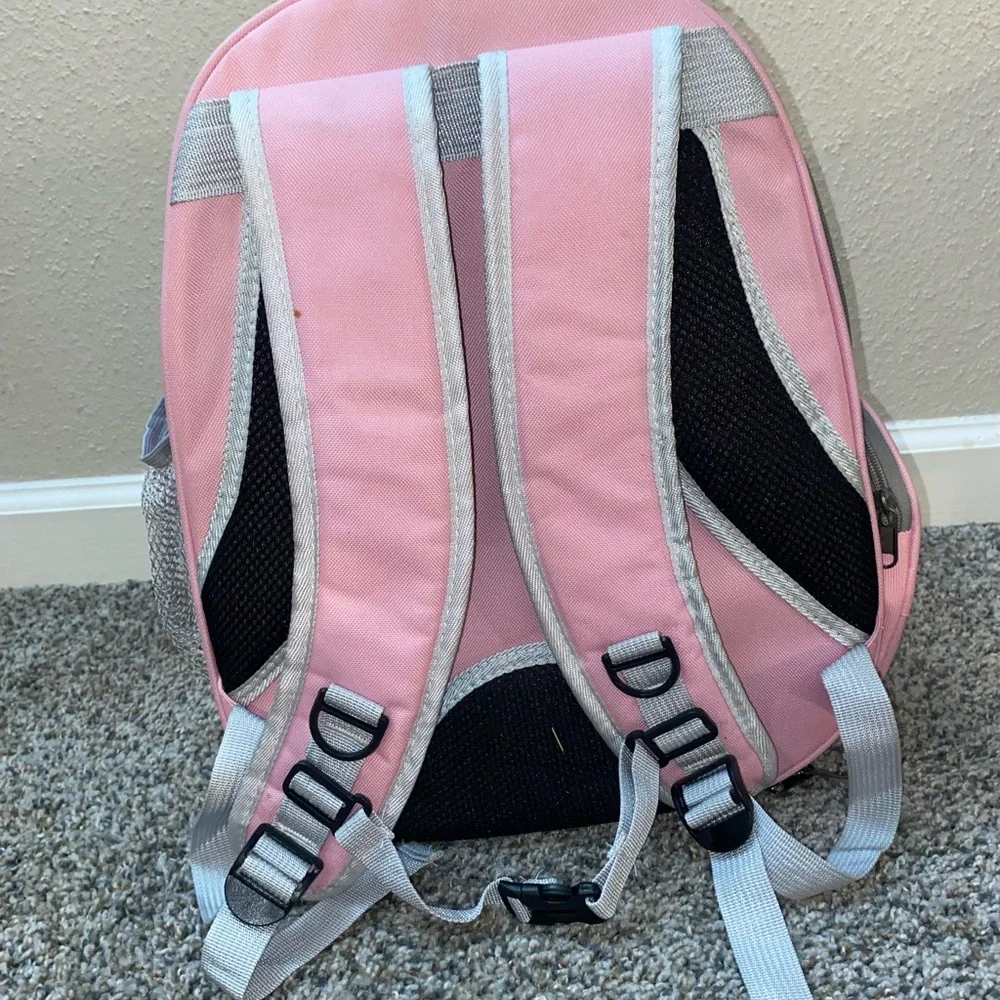 barely used cat backpack
